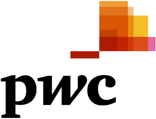 pwc animated video case study