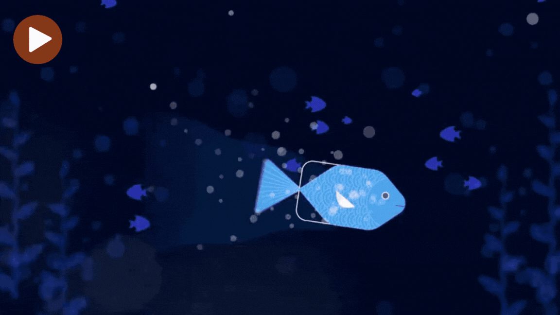 animated explainer videos