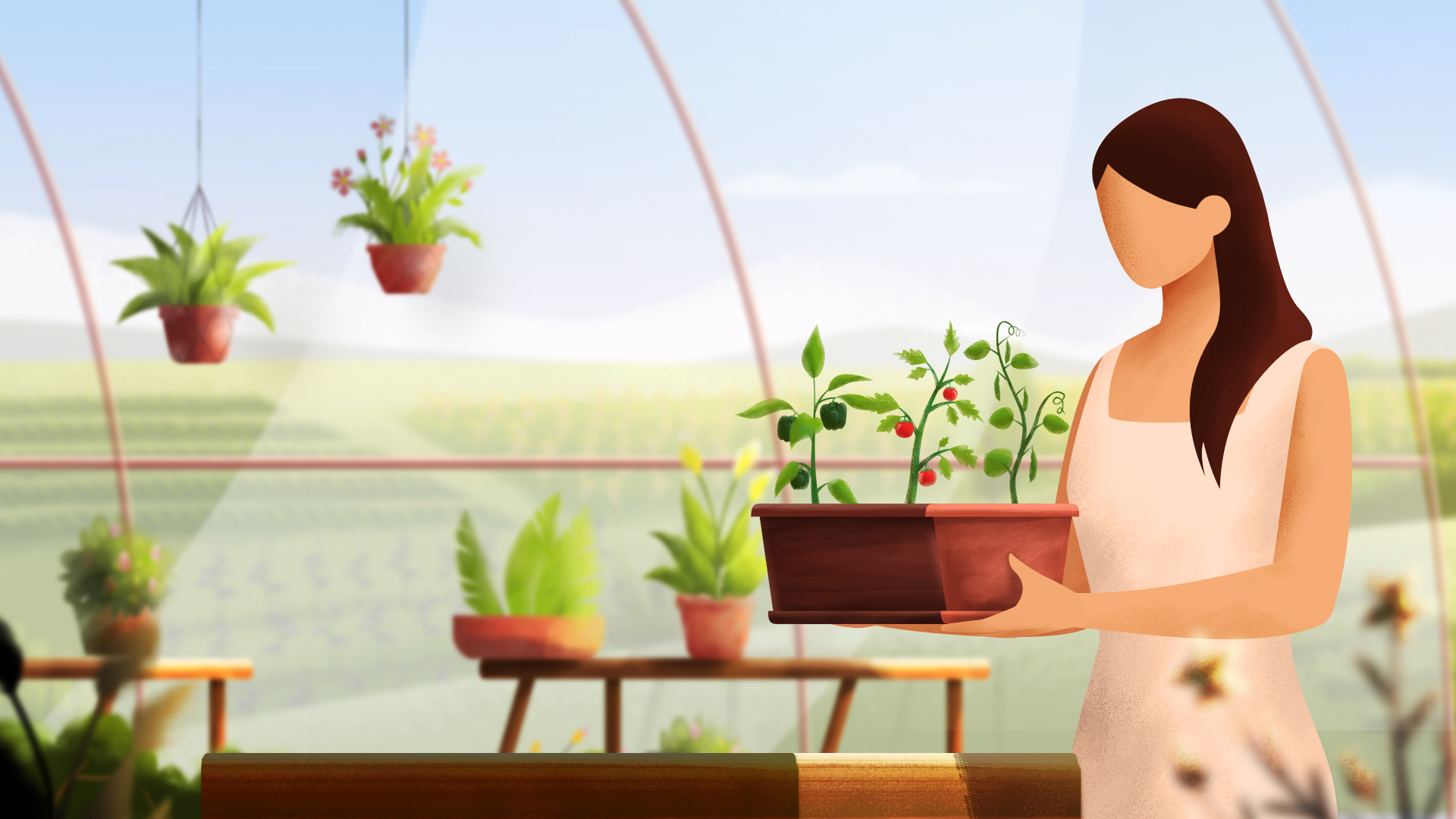 Omnivore explainer video