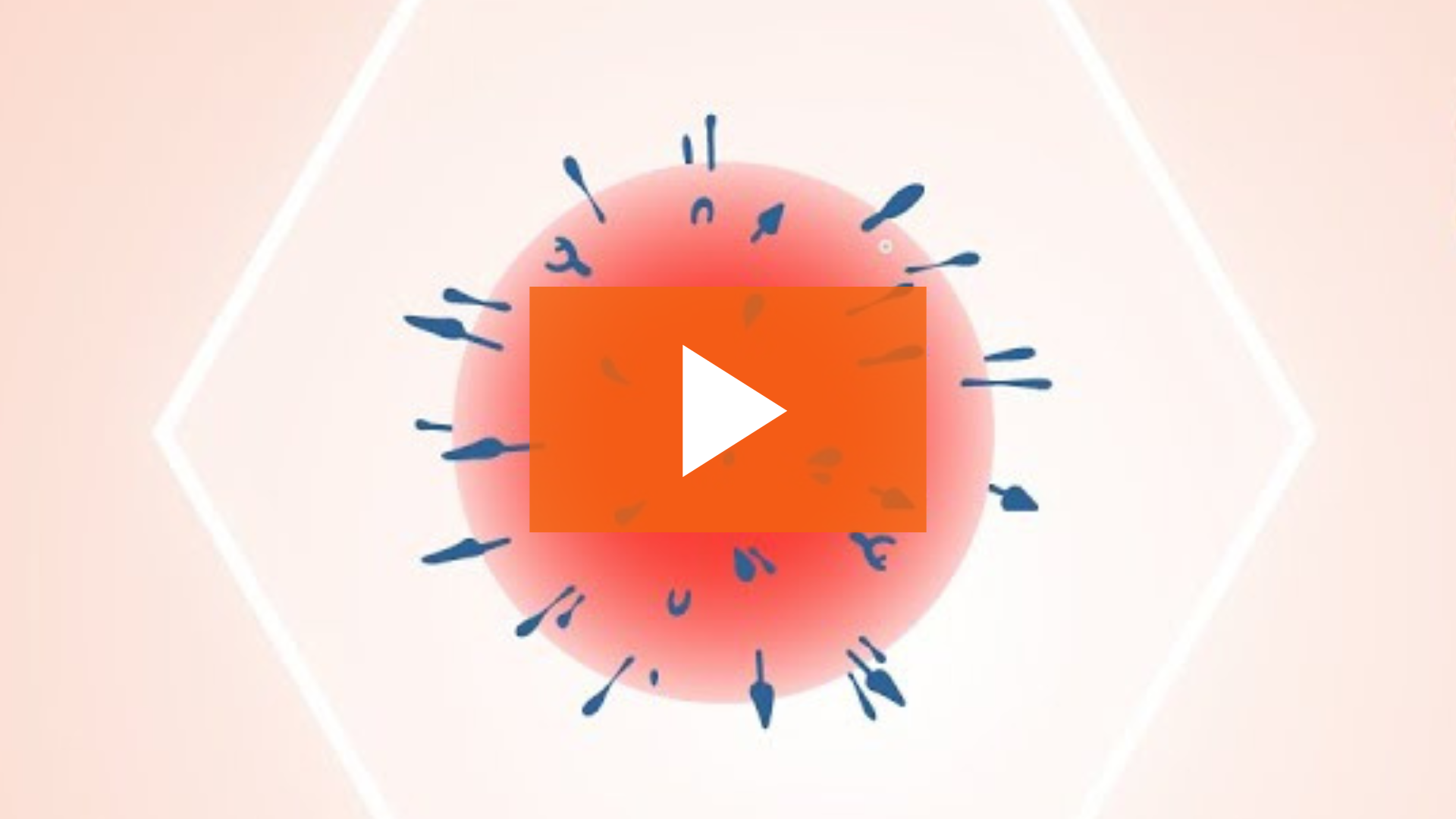 leprino foods mixed media animation explainer video