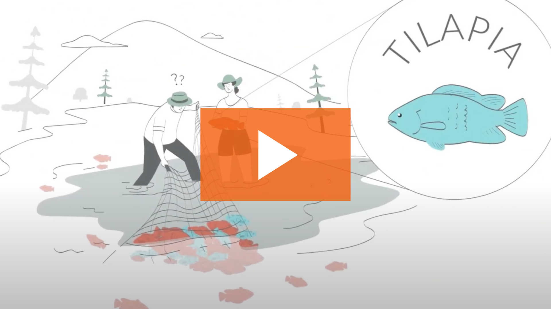 oie whiteboard animation explainer video